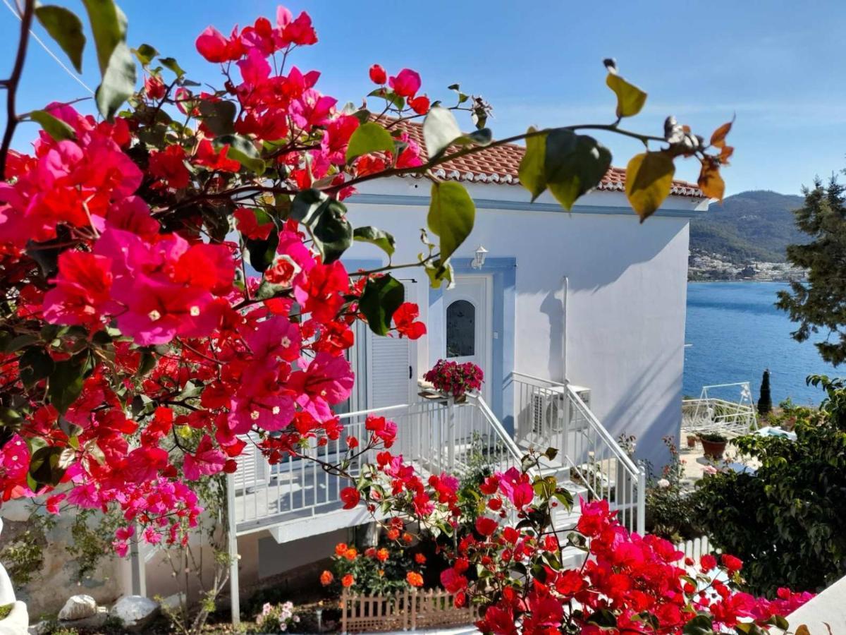 Sunrise View House *